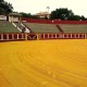 Fuengirola. Plaza de toros 