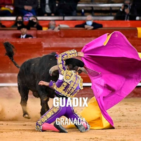 Entradas Toros Guadix - Festejo taurino