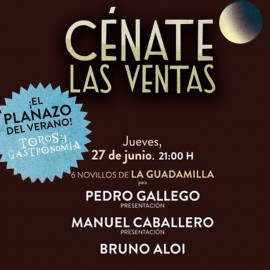 27/06 Madrid (21:00) Novillos FORMATO PDF