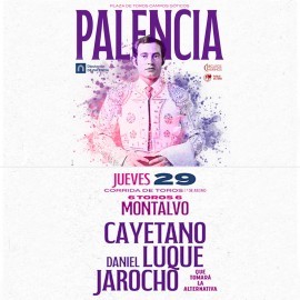 29/08 Palencia (18:00) Toros PDF- PRINT