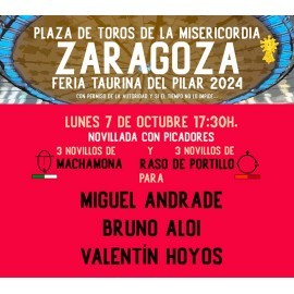 07/10 Zaragoza (17:30) Novillos SIN. PDF FILE