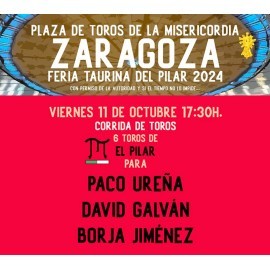 11/10 Zaragoza (17:30) Toros PDF FILE