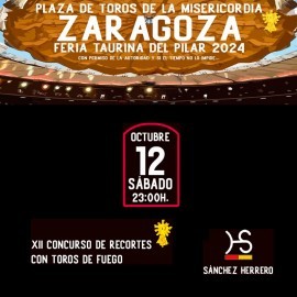 12/10 Zaragoza (23:00) Toros Fuego FORMATO PDF