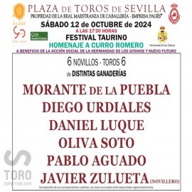 12/10 Sevilla (17:30 ) Festival PDF- PRINT