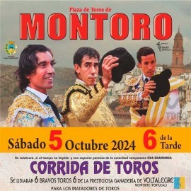 plaza de toros de montoro