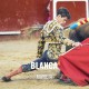 Bullfight tickets Blanca -Live bullfighting