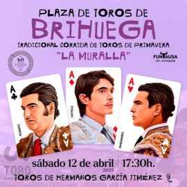 12/04 Brihuega (17:30) Toros. FORMATO PDF-IMPRIMIR