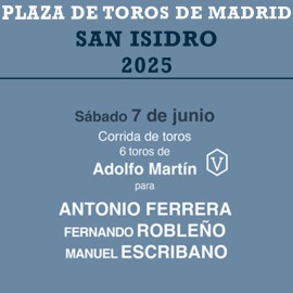 07/06 San Isidro (19:00) Toros. PDF FILE