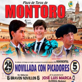 29/10 Montoro (17:00) Toros PICK UP IN BULLRING