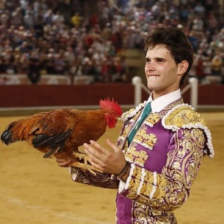 Aitor Dario El Gallo