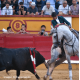 Lea Vicens