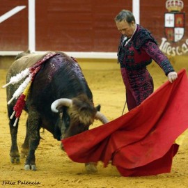 Pepe Luis Vazquez bullfighter