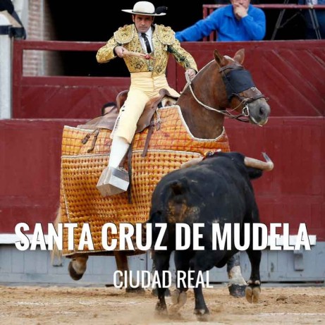 Entradas Toros Santa Cruz de Mudela - Feria de San Marcos 