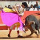  Entradas Toros Baeza - Feria a la Virgen del Alcazar 