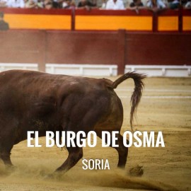 Entradas Toros El Burgo de Osma - Feria y Fiestas de La Virgen del Espino y San Roque