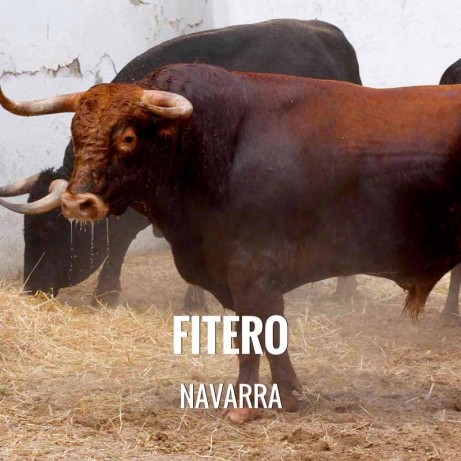 Entradas Toros Fitero- Feria Taurina de San Raimundo Abad