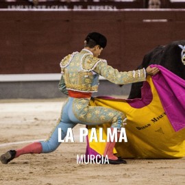 Entradas Toros La Palma - Festejo Taurino