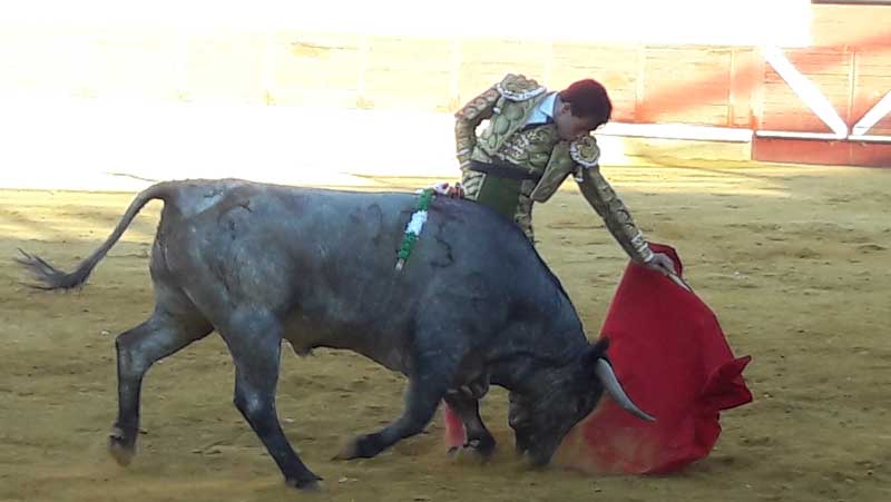 torero Jimenez Fortes